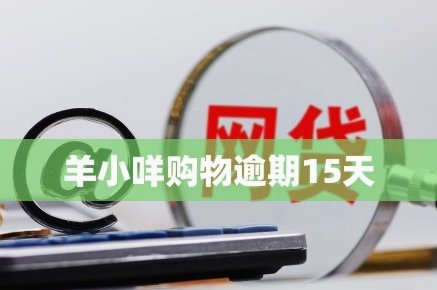 羊小咩多少天不发货可以取消